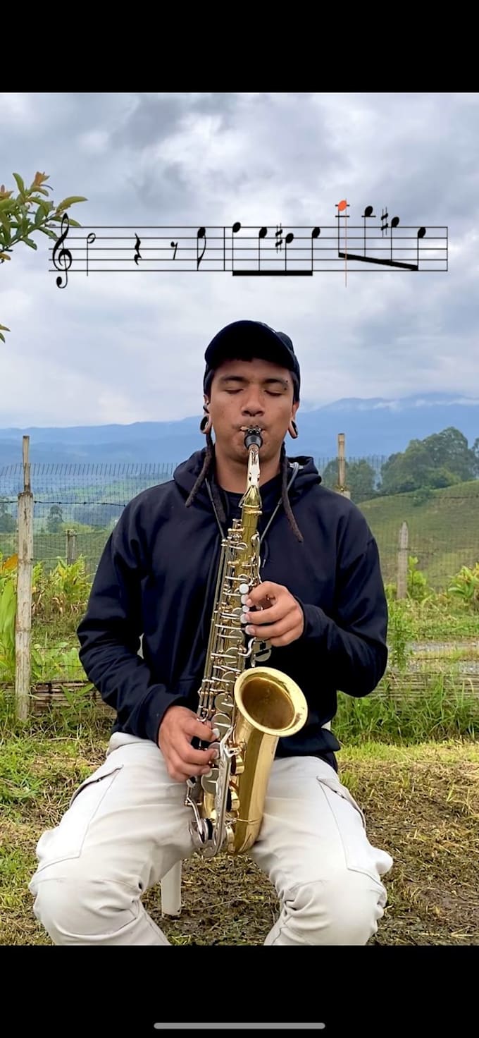 put the sheet music in your video