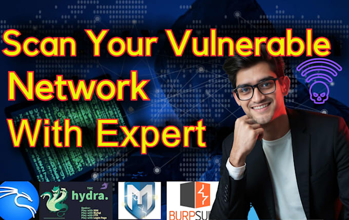 provide a full cybersecurity audit for your private network or websites