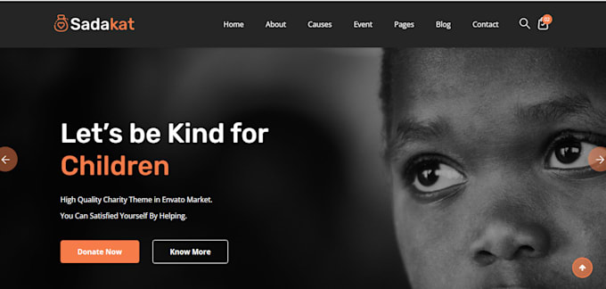 nonprofit ngo charity donation 501c3 non profit website on wix wordpress godaddy