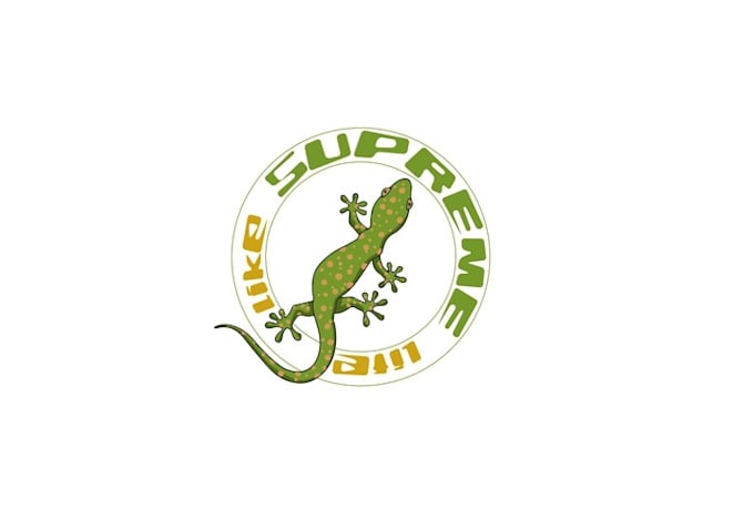 design unique cool toys logo