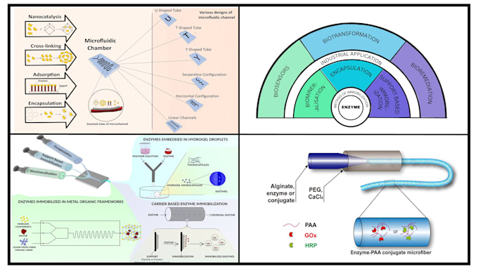 create scientific graphical abstracts and illustrations
