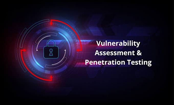 perform professional vulnerability assessment and penetration testing