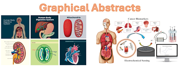 design scientific illustration, article figure, graphical abstract, 3d molecules