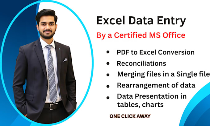 do excel data entry, reconciliation, PDF to excel data entry