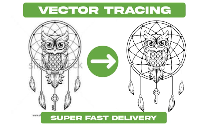 vectorizaré la imagen o el logotipo
