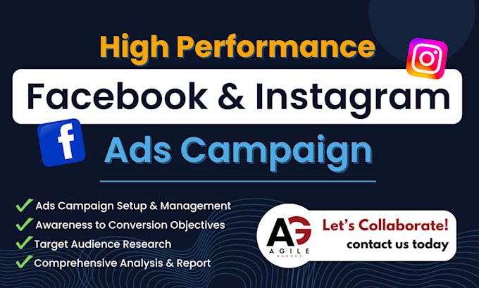 professionally manage your ads in facebook, and instagram