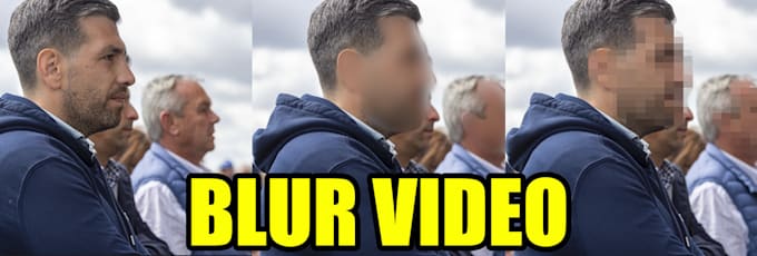 blur, objects, faces, or anything else in your videos