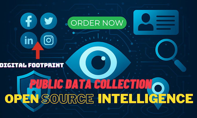 do osint, open source investigation, deep research, and background check