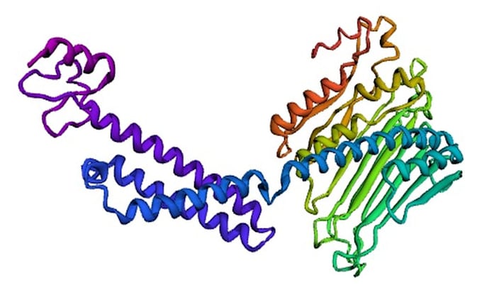 do epitope and protein structure prediction
