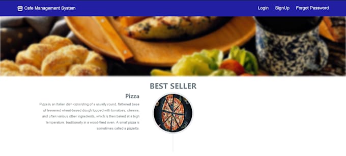 create a professional web mobile application