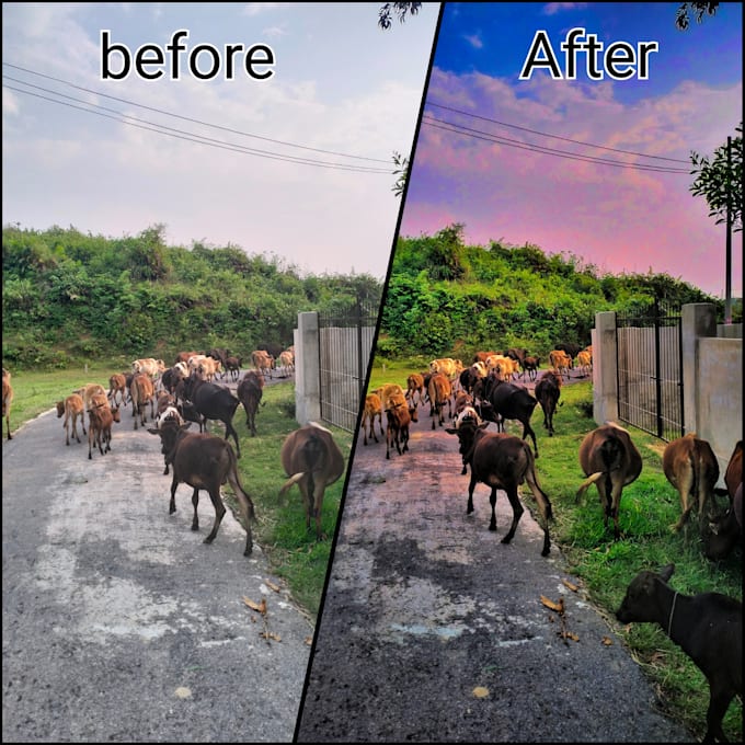 edit your travel phtos