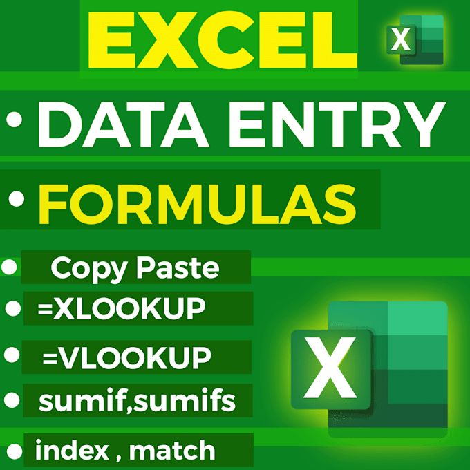 do data entry data cleaning excel formulas professionally