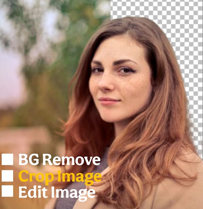 a pro bg remover