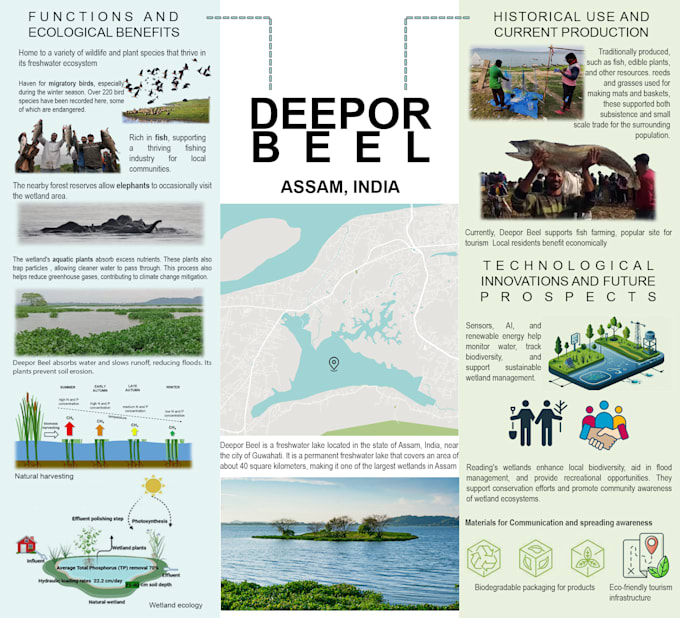 design architecture posters, infographics, and presentations