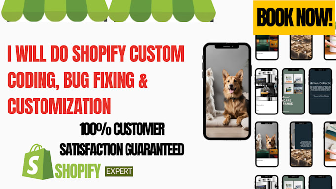 do shopify custom coding or bug fixing and customization