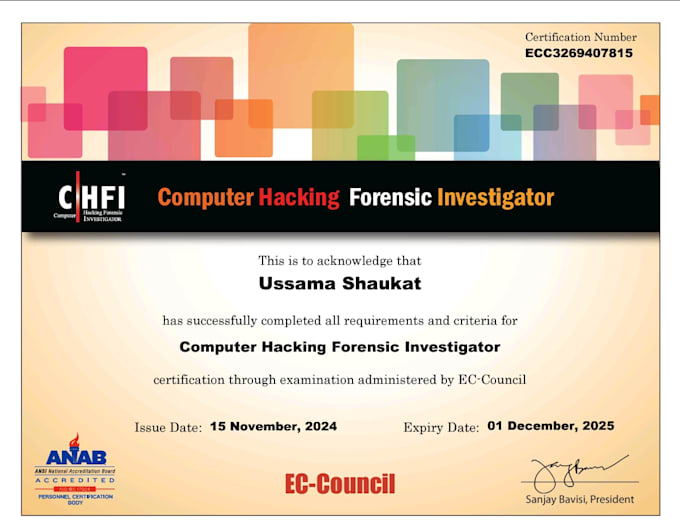 do penetration testing, vulnerability testing for a website