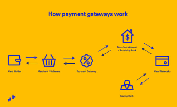 setup stripe, paypal, or custom payment gateways professionally