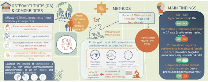 make your graphical abstracts everytpye