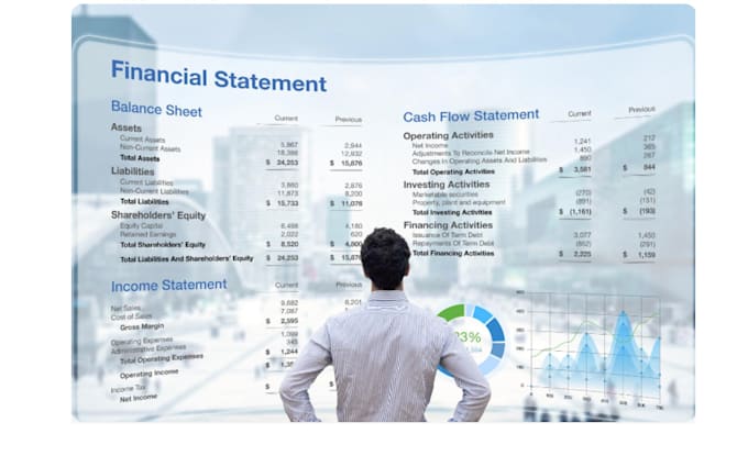 provide professional accounting services for your business