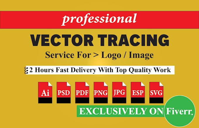 professionally convert your image or logo to vector format