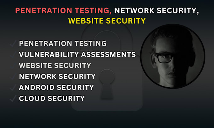 do penetration testing, network security and web security audit