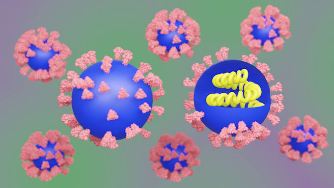 make scientific illustrations and animations in blender and canva