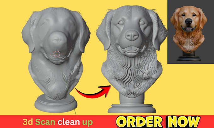 3d scan cleanup, fix mesh, stl repair, 3d head, color stl file, 3mf, 3d printing