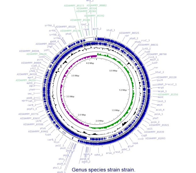 Whole genome analysis and visualization by Nhattruong2024 | Fiverr