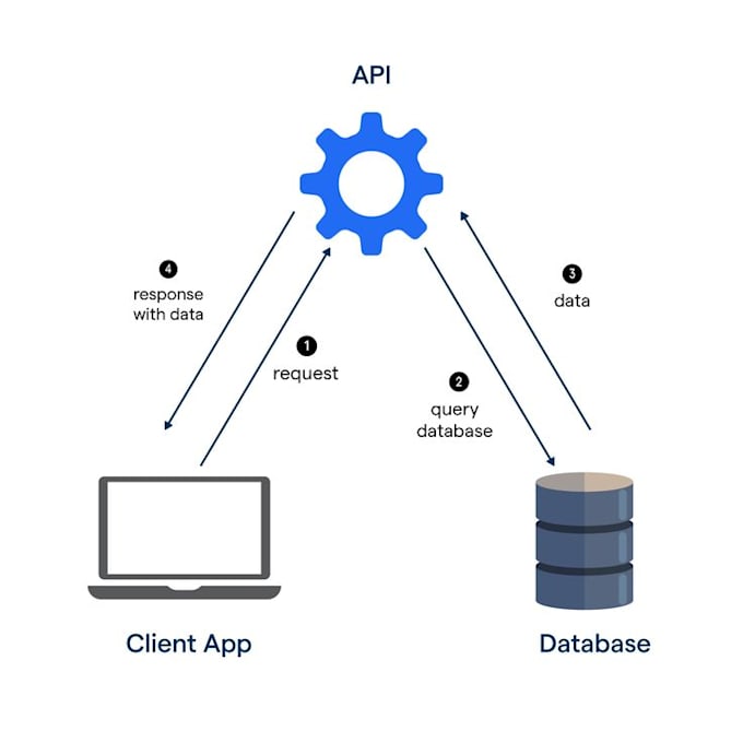 create backend API with django, django rest framework