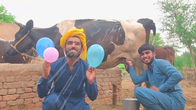 make happy birthday video or funny birthday video message