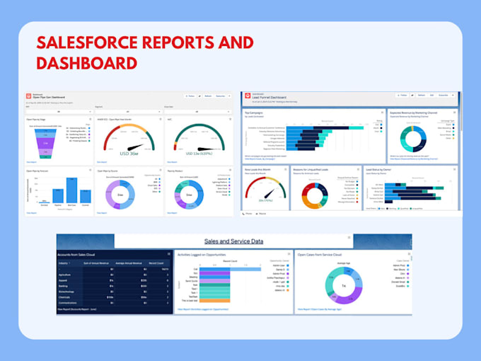 create custom salesforce reports and dashboards in just one hour