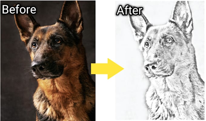 do pencil sketch drawing in just a few hours