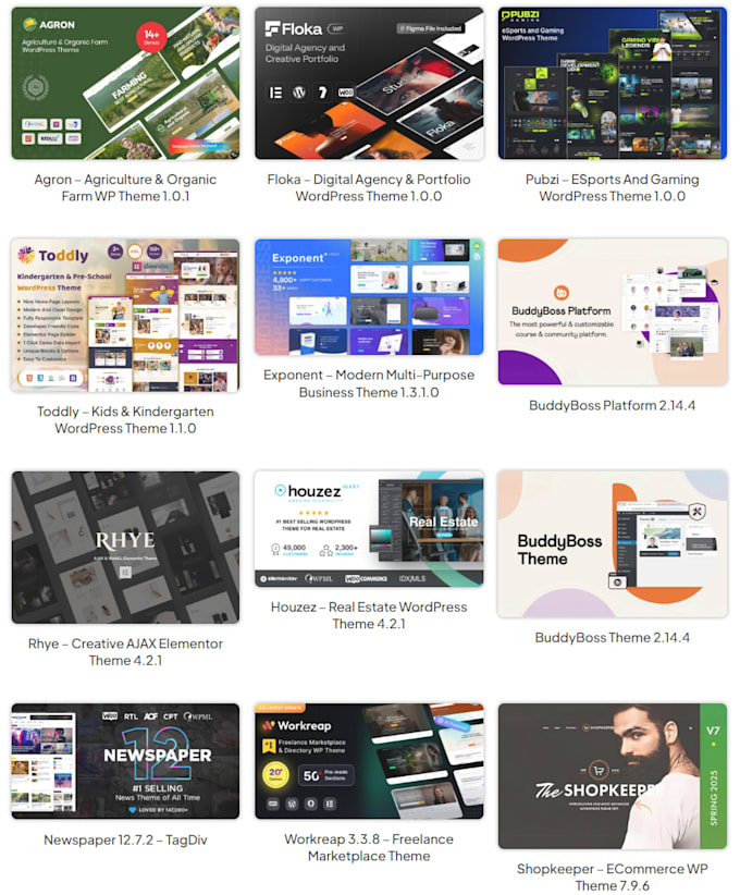 build a professional wordpress website using premium themes and plugins