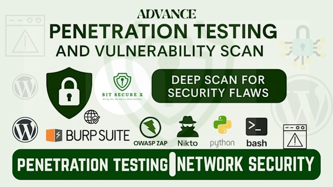 professional network penetration testing and advanced vulnerability assessment