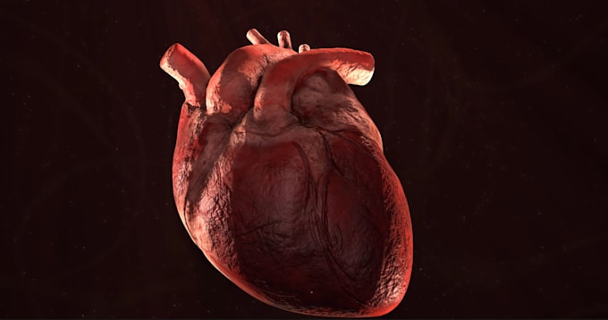 make 3d scenes for your pharmaceutical advertising
