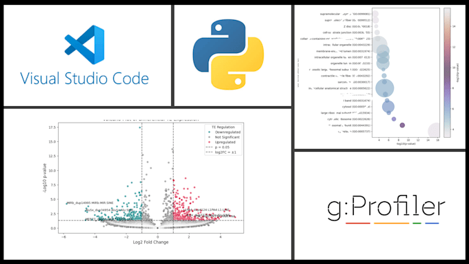 perform enrichment analysis for rna sequencing data