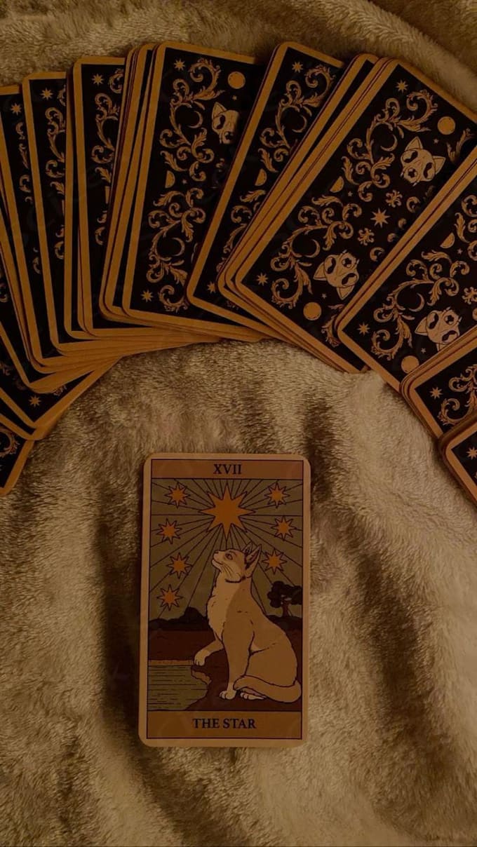 offer an intuitive tarot reading for clarity, love, career, etc
