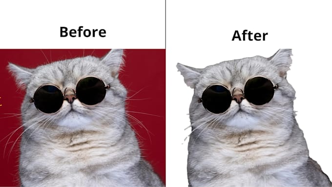 photo retouch, background removal and ai image manipulation