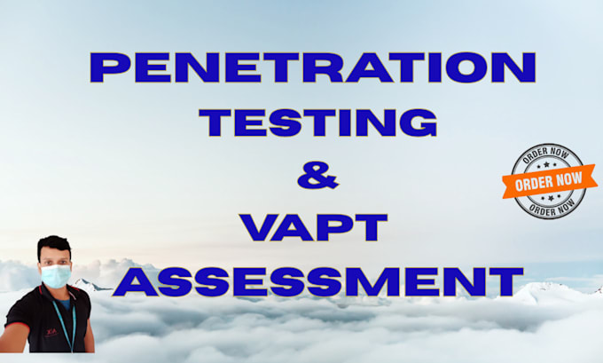 do website penetration testing with professional vapt report
