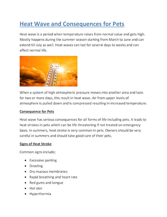 provide you pets products descriptions for your webistes