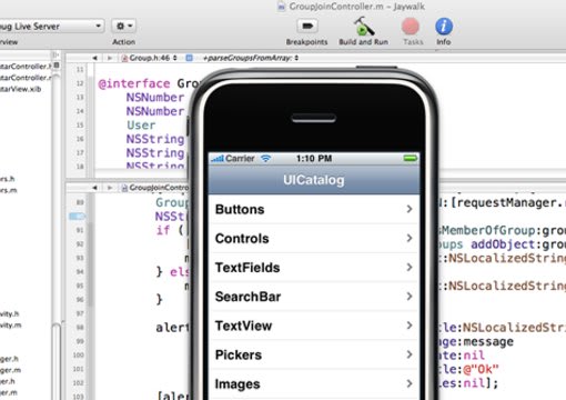 answer any beginner iPhone development question over skype or im