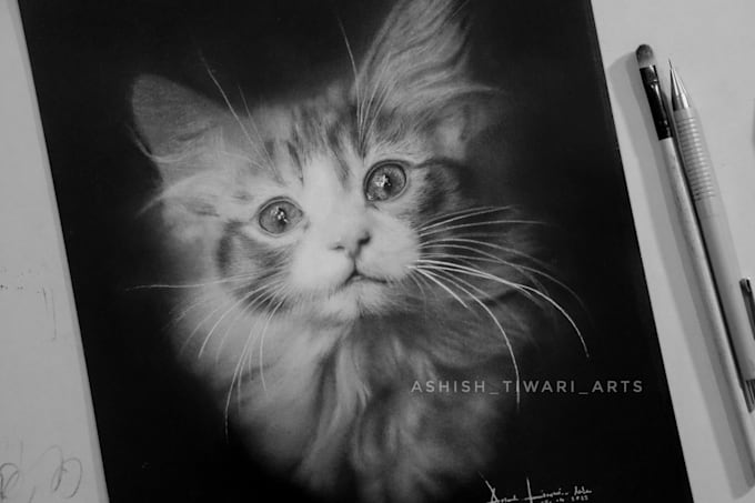draw a hyperrealistic graphite pencil art from your photo