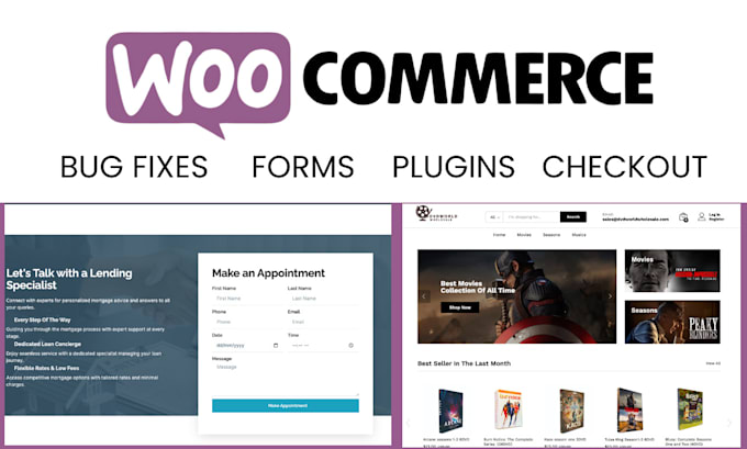 fix any wordpress issues or errors within 1 hour