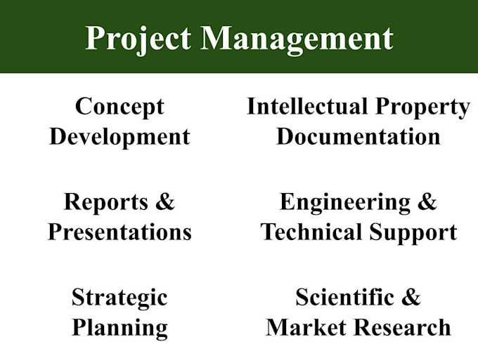 manage a technology development project