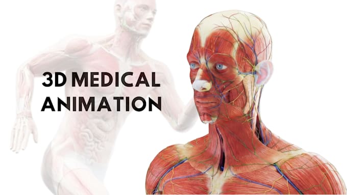 create professional 3d medical animation