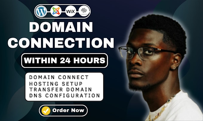connect domain and set up dns for wordpress, wix, shopify or squarespace website
