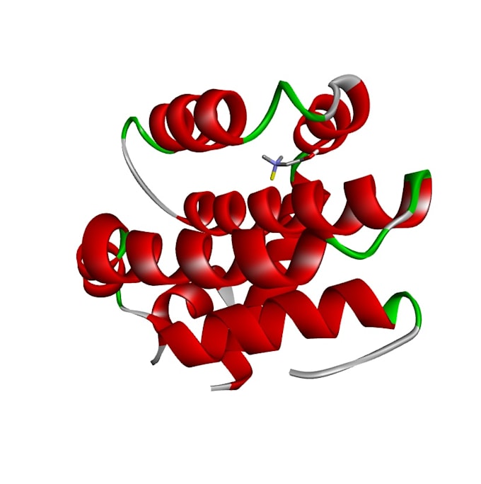perform molecular docking and computational biology analysis
