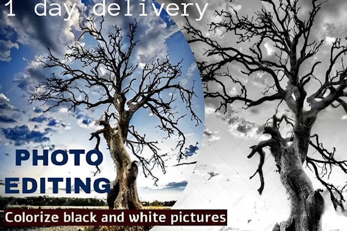 colorize and restore black and white images