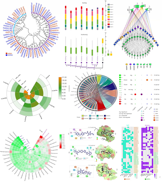 do genome wide gene family study including phylogenetic tree