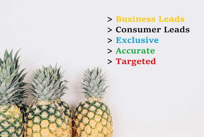 provide USA business leads any category